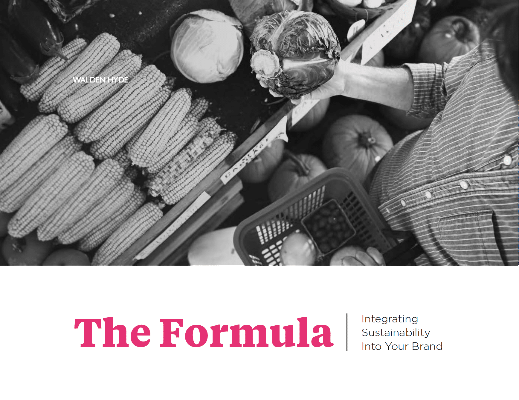 Formula Cover