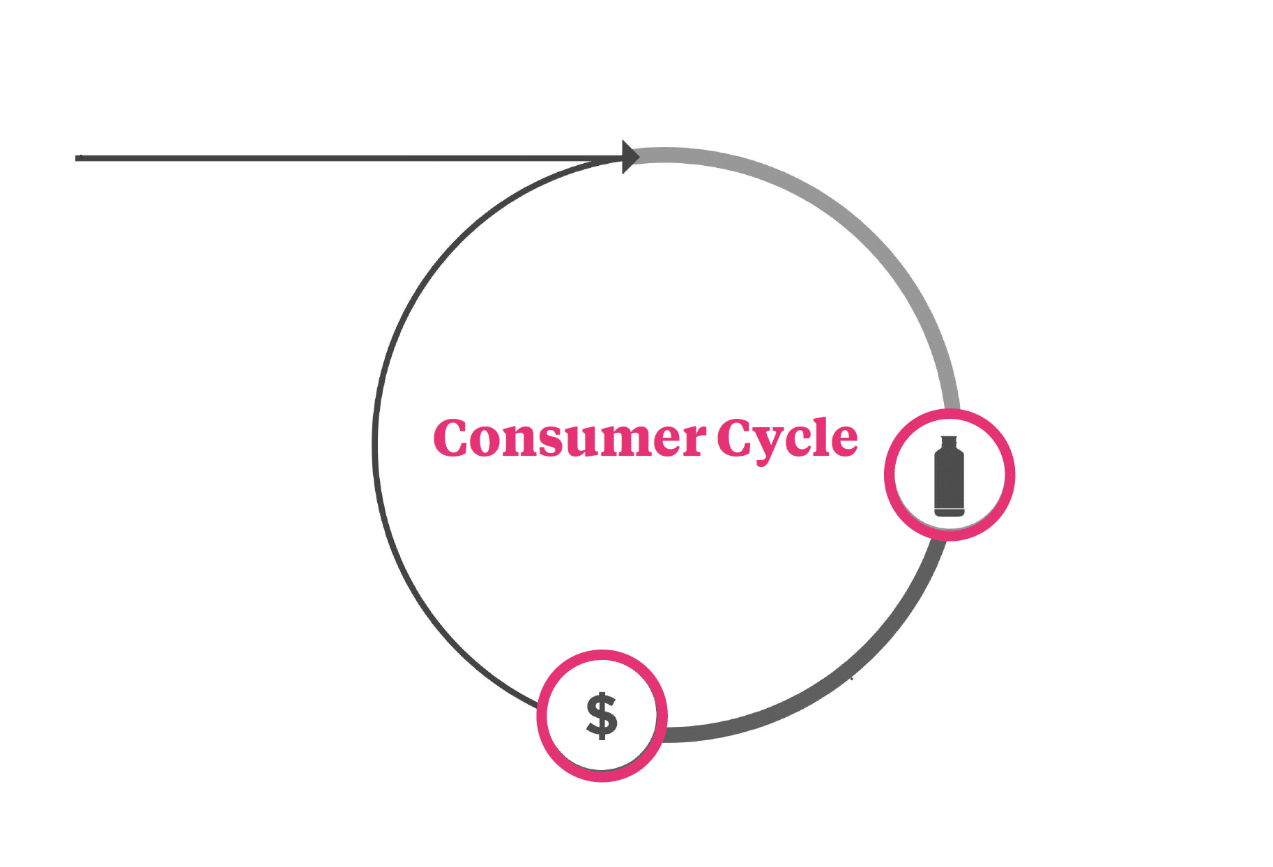 Consumer Cycle