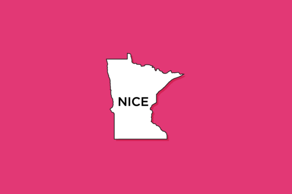 Illustration of Minnesota with the word "nice" in it on a pink background